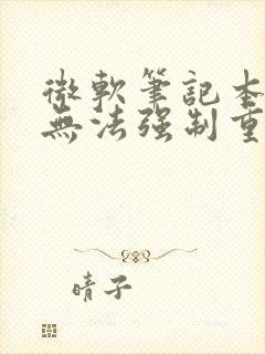 微软笔记本黑屏无法强制重启