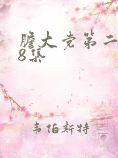 胆大党第二季第8集