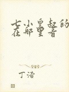 七小皇叔的小说在哪里看