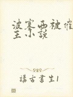 波塞西被催眠认主小说