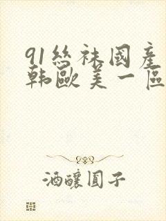 91丝袜国产日韩欧美一区
