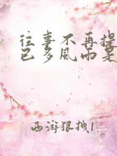 往事不再提人生已多风雨是什么歌