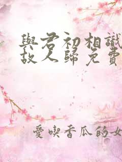 与君初相识恰似故人归免费观看完整