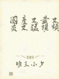 国产又黄又粗又爽又猛视频