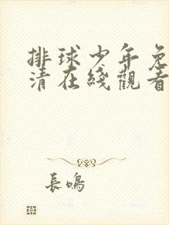 排球少年免费高清在线观看