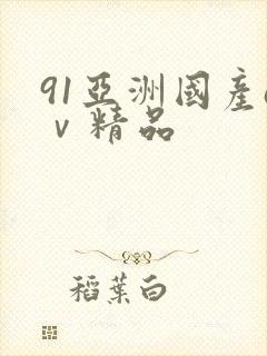 91亚洲国产aⅴ精品