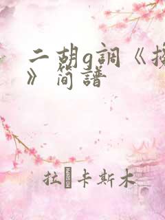 二胡g调《搀扶》简谱