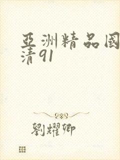 亚洲精品国产高清91