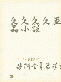 久久久久亚洲精品小说