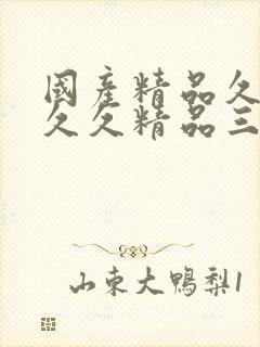 国产精品久久久久久精品三级