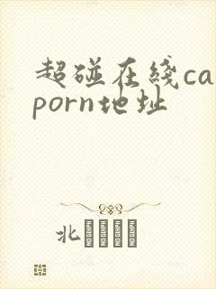 超碰在线caoporn地址
