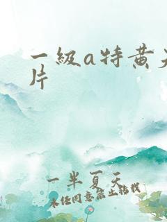 一级a特黄夫妻片