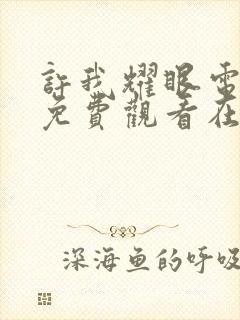 许我耀眼电视剧免费观看在线播放