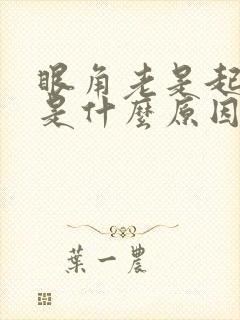 眼角老是起眼屎是什么原因