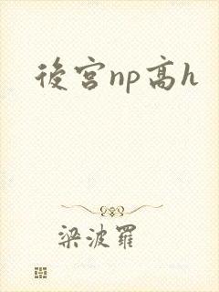 后宫np高h