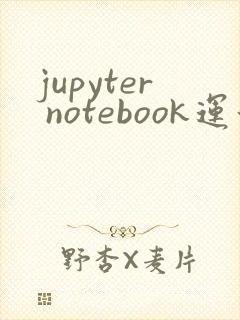 jupyter notebook运行出现*号
