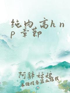 纯肉 高h np 章节