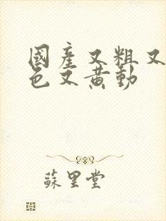 国产又粗又猛又色又黄动