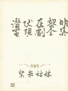 潜伏在黎明之前电视剧全集免费观看