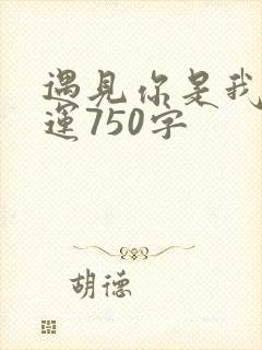 遇见你是我的幸运750字