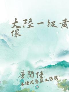 大陆一级黄色录像