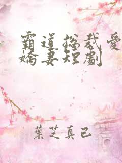 霸道总裁爱上小娇妻短剧