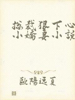 总裁狠下心来打小娇妻小说