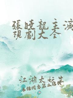 张晓龙主演的电视剧大全