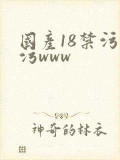 国产18禁污污污www