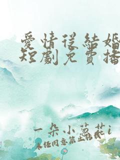 爱情从结婚开始短剧免费播放全集