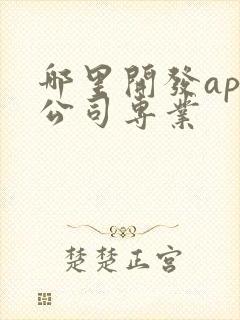 哪里开发app公司专业