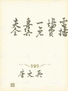 夫妻一场电视剧全集免费播放