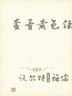 查看黄色录像片