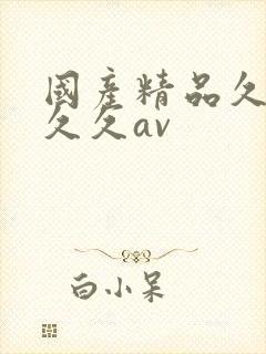 国产精品久久久久久av