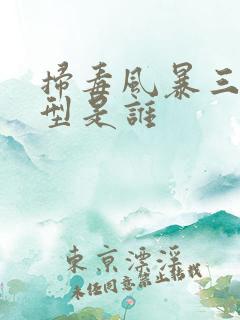 扫毒风暴三个原型是谁