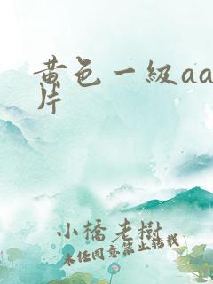 黄色一级aaa片