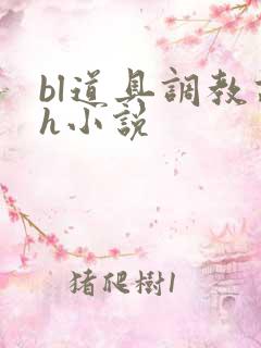 bl道具调教高h小说