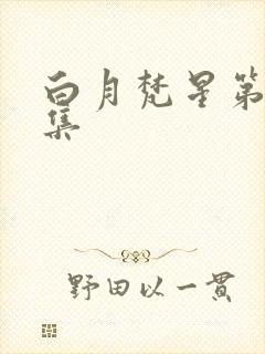 白月梵星第28集