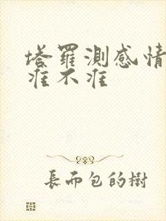 塔罗测感情婚姻准不准