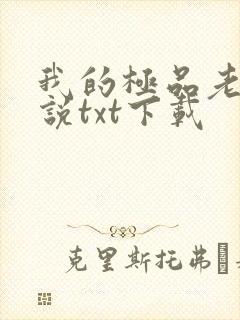 我的极品老婆小说txt下载