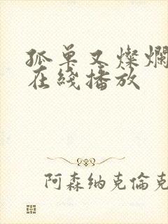 孤单又灿烂的神在线播放