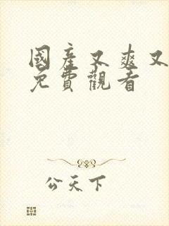 国产又爽又黄又免费观看