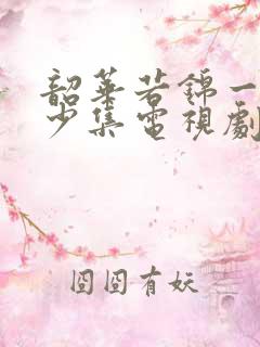 韶华若锦一共多少集电视剧