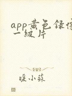 app黄色录像一级片