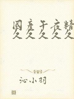 国产午夜精品久久久久久久