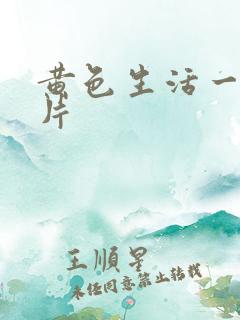 黄色生活一级大片