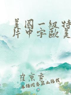 美国一级特黄大片中字欧美