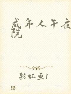 成年人午夜电影院