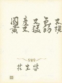 国产又色又爽又黄又猛的视频