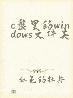 c盘里的windows文件夹里哪些可以删除